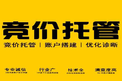 案例分析：竞价推广助力企业打造爆款产品